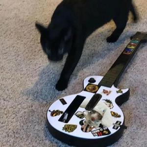 曰本色费黄色毛片大全
