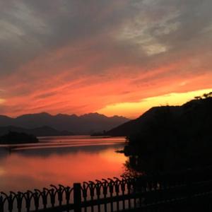 曰本色费黄色毛片大全
